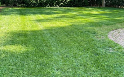 Photo of Frank B.'s yard after getting tree care in Denver, NC