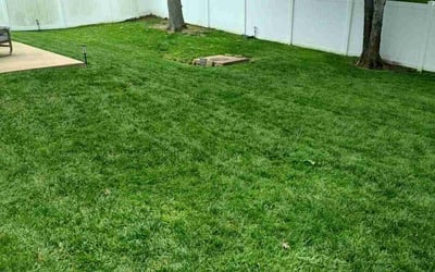 Photo of Courtney D.'s yard after getting lawn care in O&#039;Fallon, MO