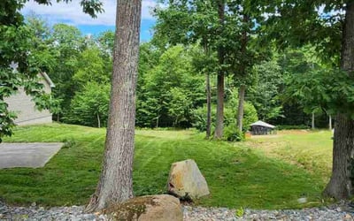Photo of Jen L.'s yard after getting lawn care in South Hadley, MA