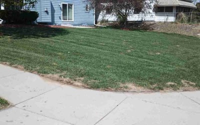 Photo of Troy C.'s yard after getting lawn care in Omaha, NE