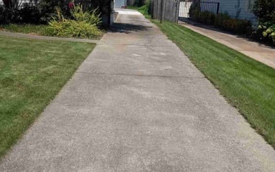 Photo of Yvonne L.'s yard after getting tree care in Adairsville, GA