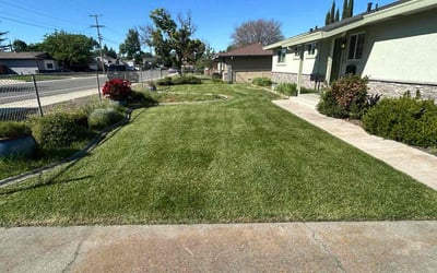 Photo of Robert G.'s yard after getting lawn care in Rocklin, CA
