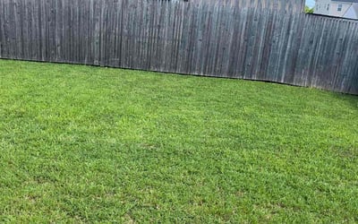 Photo of LASONYA H.'s yard after getting lawn care in Carteret, NJ