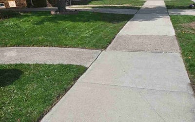Photo of Tiffany F.'s yard after getting lawn care in Dearborn, MI