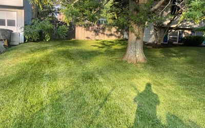 Photo of Marie E.'s yard after getting lawn care in Elizabeth, PA