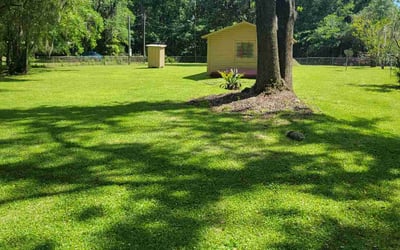 Photo of Kevin K.'s yard after getting lawn care in Saco, ME