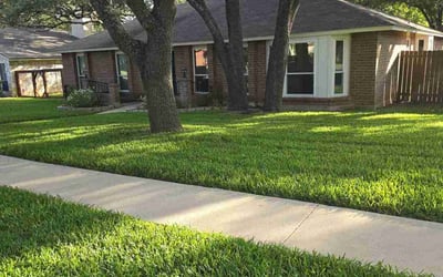 Photo of Devon M.'s yard after getting lawn care in San Antonio, TX