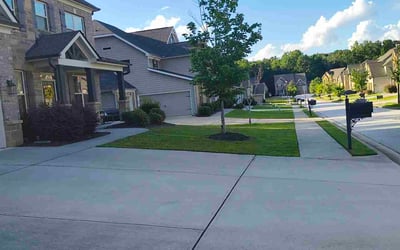 Photo of Donna M.'s yard after getting lawn care in Dacula, GA