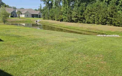 Photo of Rachael J.'s yard after getting lawn care in Ladson, SC
