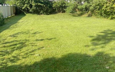 Photo of Margaret A.'s yard after getting lawn care in Rahway, NJ