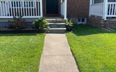 Photo of Deepa T.'s yard after getting lawn care in Catonsville, MD