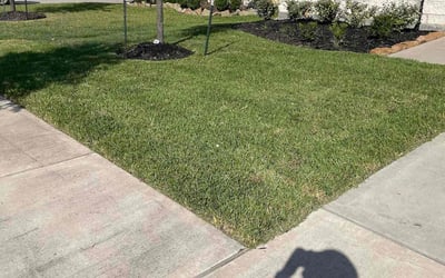Photo of Mary C.'s yard after getting lawn care in Latham, NY