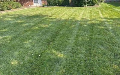 Photo of Esteban A.'s yard after getting lawn care in Shorewood, IL