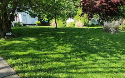 Photo of Patrick B.'s yard after getting lawn care in Chardon, OH