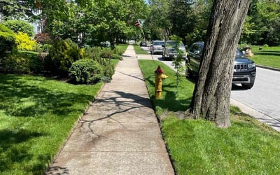 Photo of Robert B.'s yard after getting lawn care in Hammond, IN