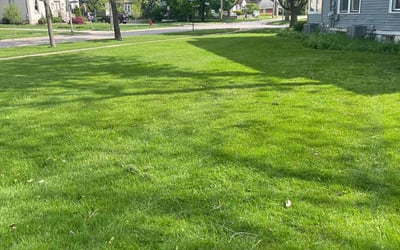 Photo of Ernest S.'s yard after getting lawn care in Libertyville, IL