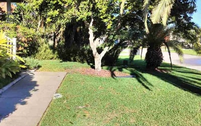 Photo of Brian F.'s yard after getting lawn care in Far Rockaway, NY