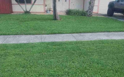 Photo of Dylan G.'s yard after getting lawn care in Wellington, FL