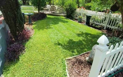Photo of Laura D.'s yard after getting lawn care in Cohoes, NY