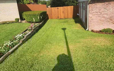 Photo of Alfredo I.'s yard after getting lawn care in Carrollton, TX