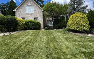 Photo of Nancy C.'s yard after getting lawn care in Newton, NJ