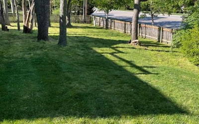 Photo of Debora J.'s yard after getting lawn care in Leawood, KS