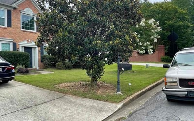 Photo of Beverly M.'s yard after getting lawn care in La Fayette, GA