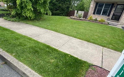 Photo of Jay B.'s yard after getting lawn care in Forks, PA
