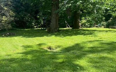 Photo of Lilliana R.'s yard after getting lawn care in Scarsdale, NY