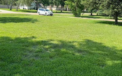 Photo of Mark L.'s yard after getting lawn care in Dover, NJ