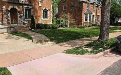 Photo of Xin Y.'s yard after getting lawn care in Nutley, NJ