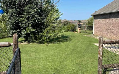 Photo of Warren W.'s yard after getting lawn care in Grand Rapids, MI