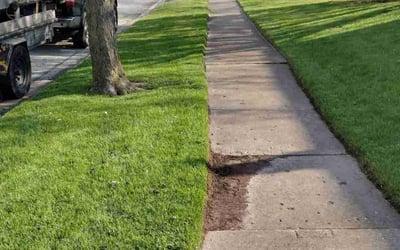 Photo of Myrna R.'s yard after getting lawn care in Richton Park, IL