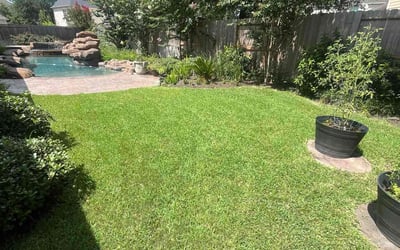 Photo of Jill J.'s yard after getting lawn care in La Follette, TN