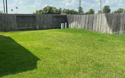 Photo of Shane M.'s yard after getting lawn care in Truckee, CA