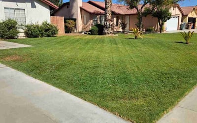Photo of Titus R.'s yard after getting lawn care in Bakersfield, CA