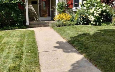 Photo of Meghan D.'s yard after getting lawn care in Milwaukee, WI