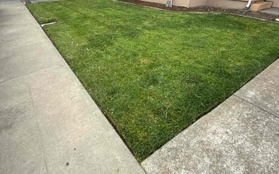 Photo of Jessica A.'s yard after getting lawn care in San Leandro, CA
