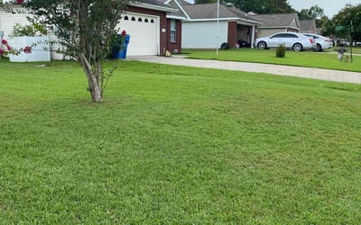 Photo of Zeke R.'s yard after getting lawn care in Dothan, AL