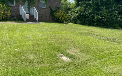 Photo of Ember M.'s yard after getting lawn care in Warrior, AL