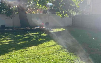 Photo of Bri s.'s yard after getting lawn care in Plainville, CT