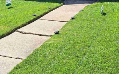 Photo of Natalie M.'s yard after getting lawn care in Defuniak Springs, FL
