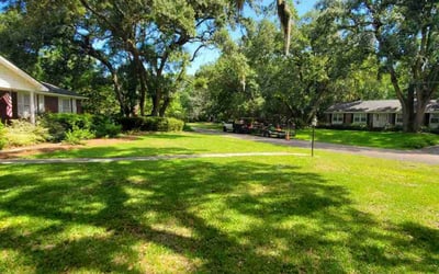 Photo of Madi R.'s yard after getting lawn care in Austin, TX