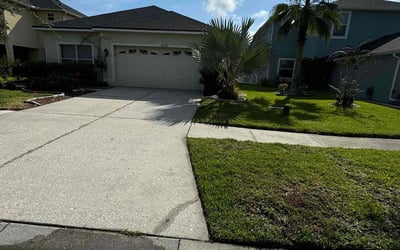 Photo of Chrissy P.'s yard after getting lawn care in Carrollwood, FL