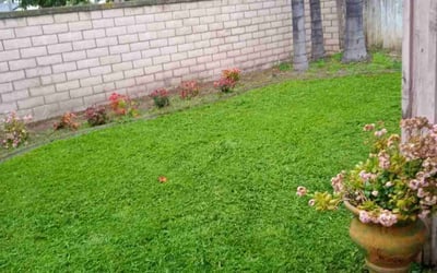 Photo of Shawntel W.'s yard after getting lawn care in Covina, CA