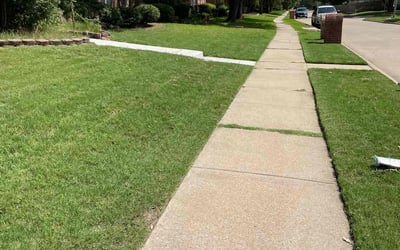 Photo of Princess H.'s yard after getting lawn care in Bristol, CT