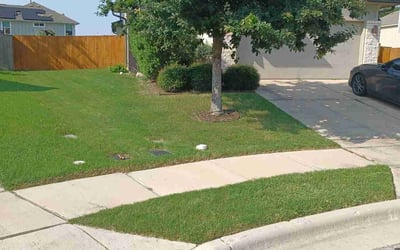 Photo of Stephanie S.'s yard after getting lawn care in Toledo, OH
