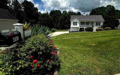 Photo of Caren C.'s yard after getting lawn care in Monroe, NY