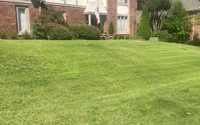 Photo of Sean L.'s yard after getting lawn care in Germantown, TN