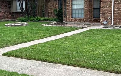 Photo of Juana M.'s yard after getting lawn care in North Hills, CA